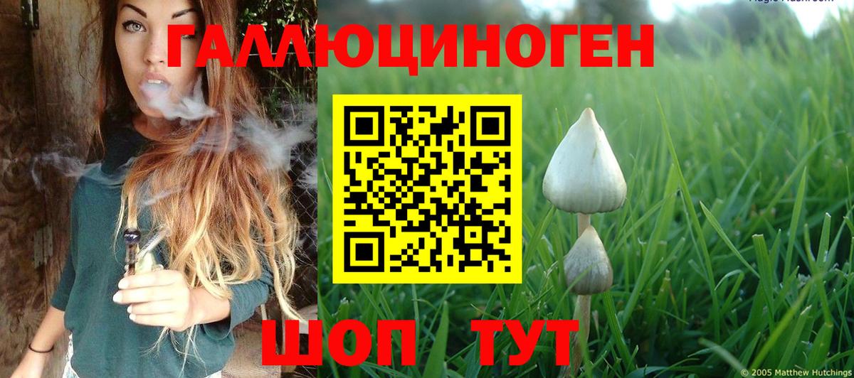 Галлюциногенные грибы GOLDEN TEACHER  Вход с VPN  где можно купить   Алексин 
